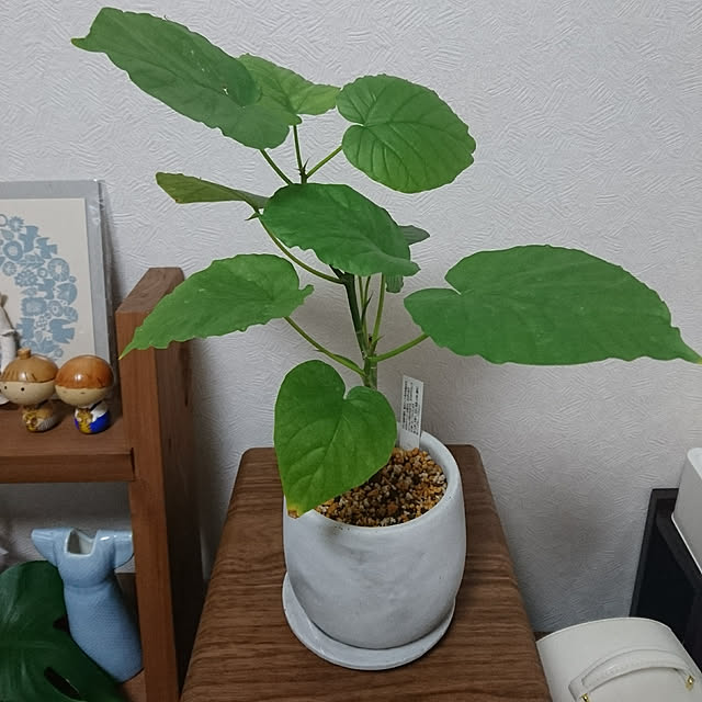 monaさんの実例写真