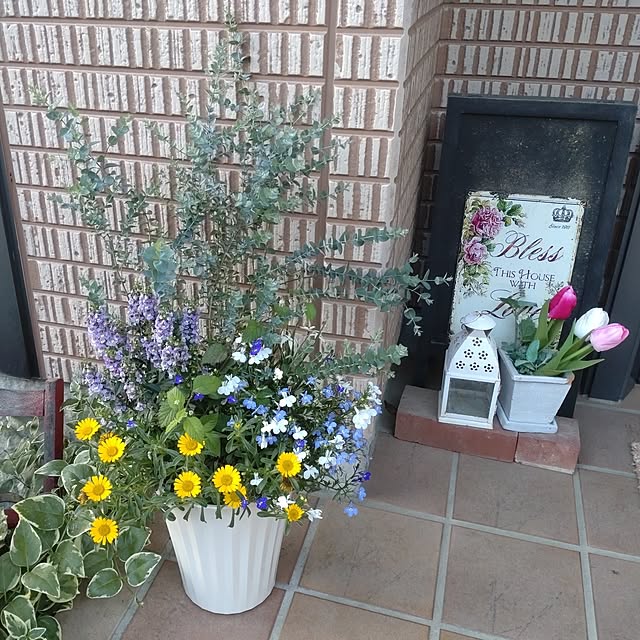 Hujikoさんの部屋