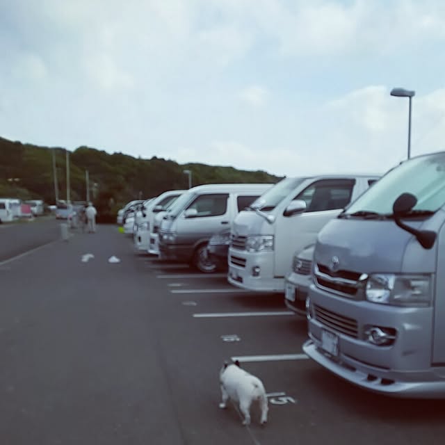panchobiさんの実例写真