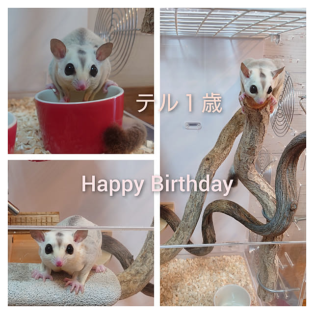 miejun5さんの実例写真