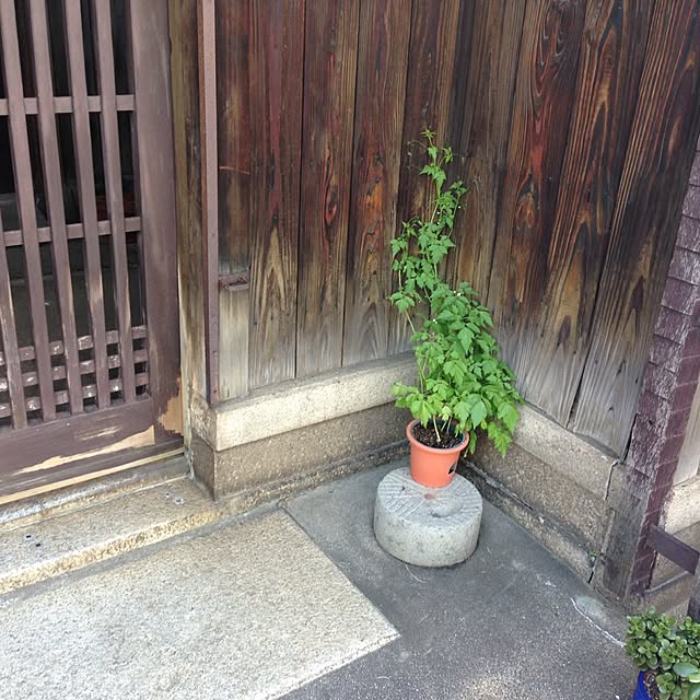 kinomiさんの実例写真
