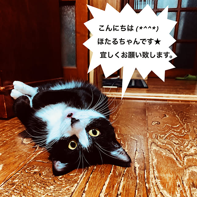 fuwafuwa0215さんの実例写真