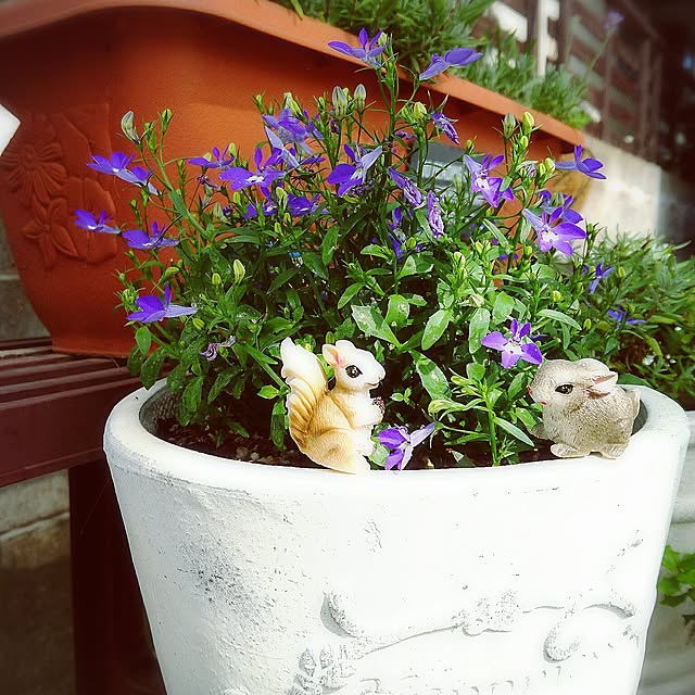 punknさんの実例写真