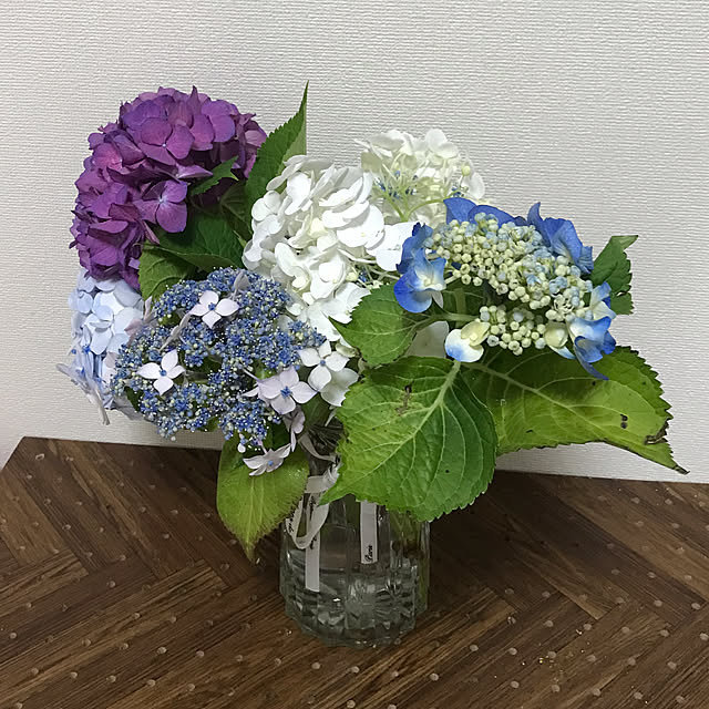 sakuramiffyさんの部屋