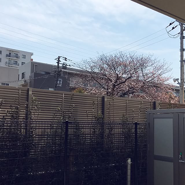 hotbiscuitsさんの実例写真