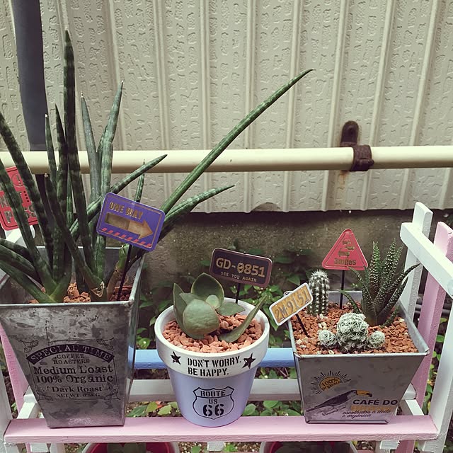 mioMAMAさんの実例写真