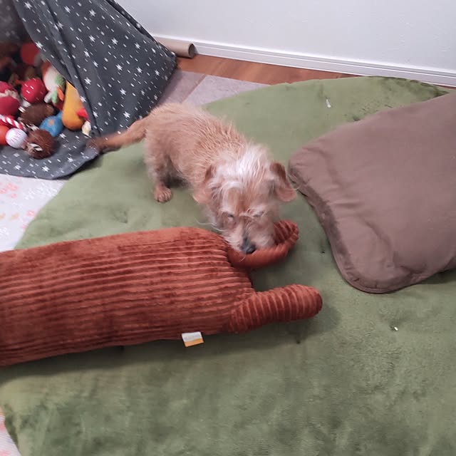 chocococoaさんの部屋