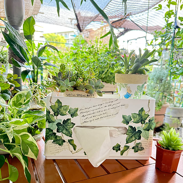 Aqettyさんの部屋