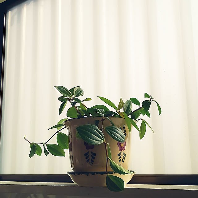 Renさんの実例写真