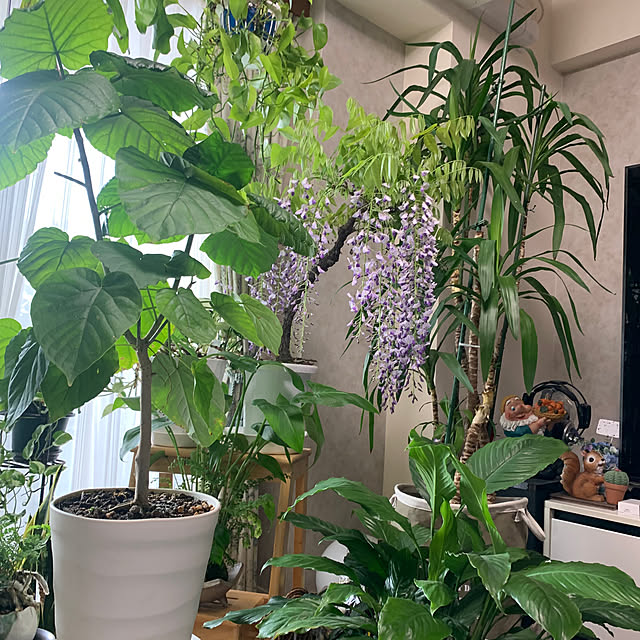 Aqettyさんの部屋