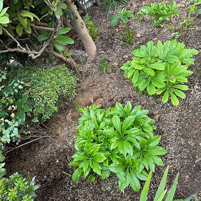 mamizaさんの部屋