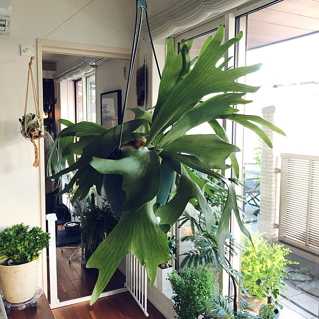 nuruiさんの実例写真