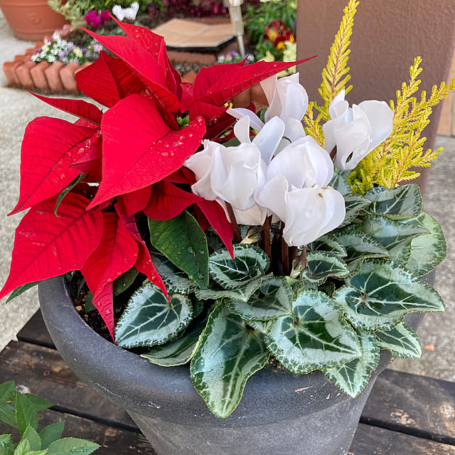 radwimps_05410さんの実例写真