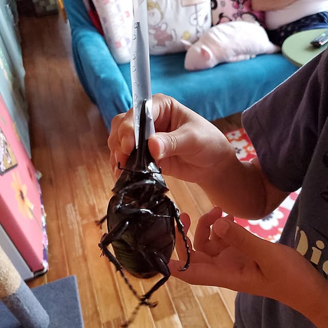 kumutanさんの部屋