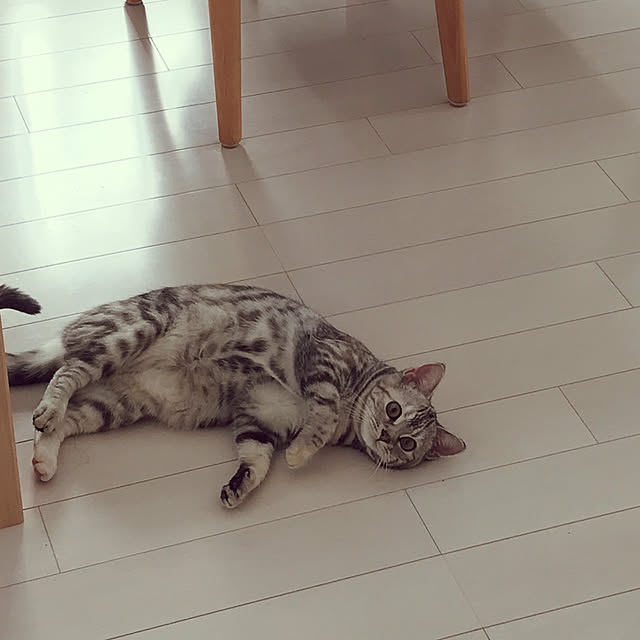 tajaboさんの実例写真