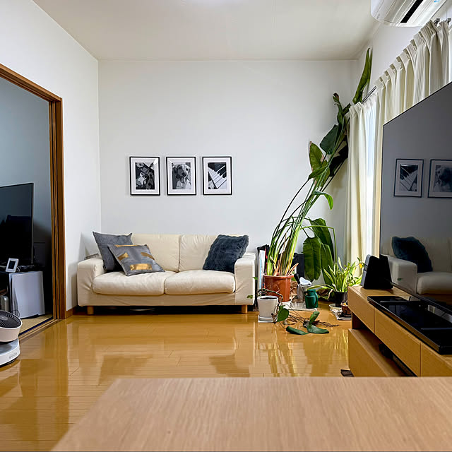 sakura-51さんの実例写真