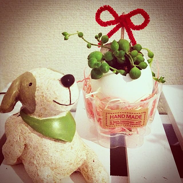 jam25さんの実例写真