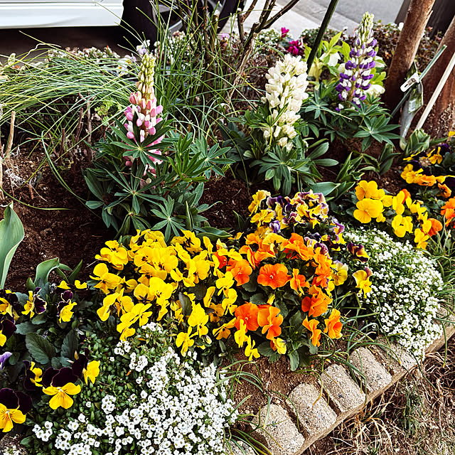 KYONさんの実例写真