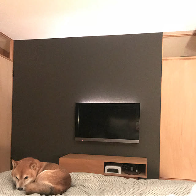 eucaさんの実例写真