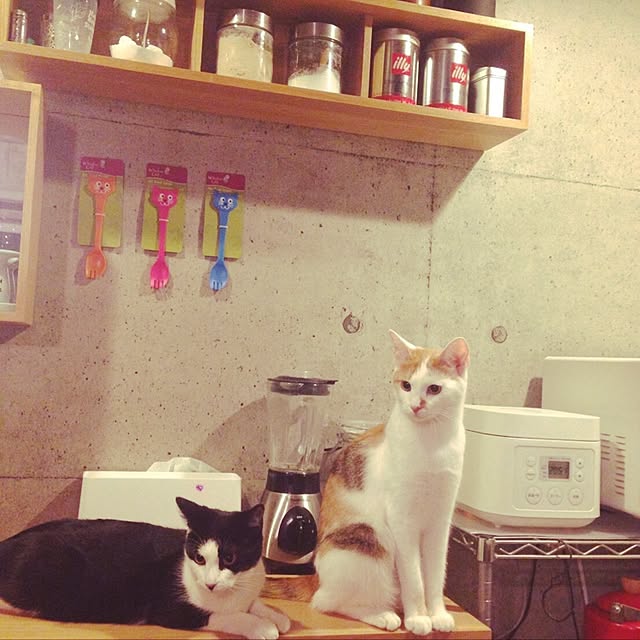 ziziguguさんの実例写真