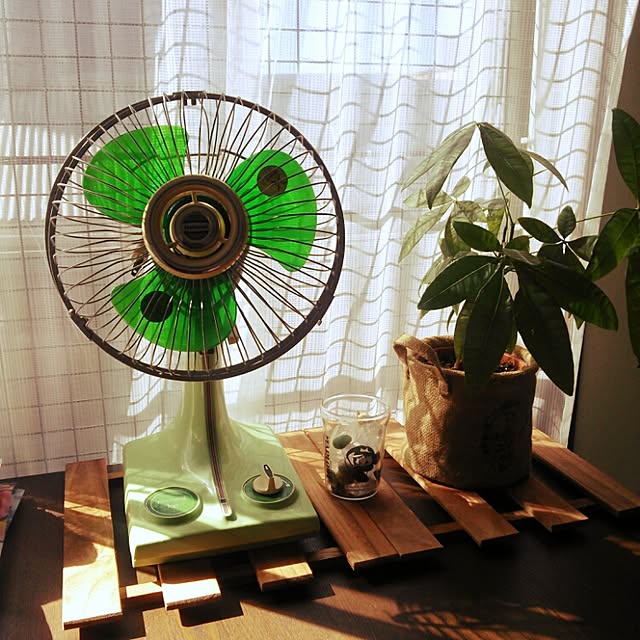arahonis471さんの実例写真