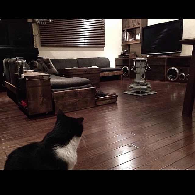 jnkaiさんの実例写真