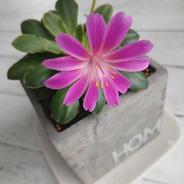 kaanaさんの部屋