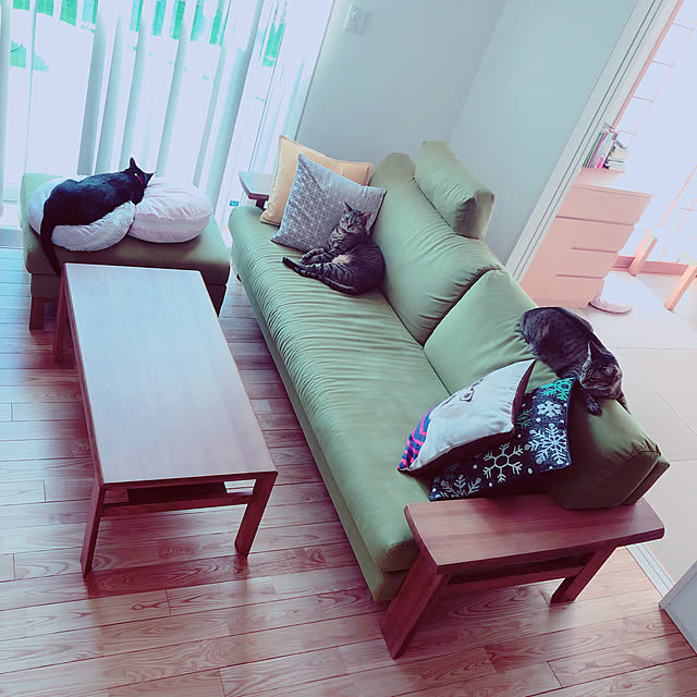 shion825さんの実例写真