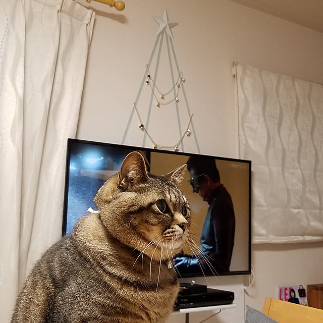 t-famさんの実例写真