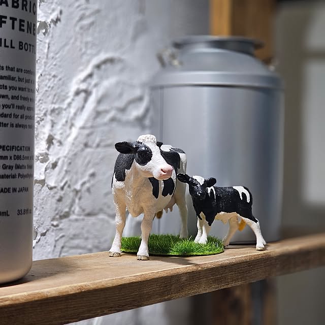 CYNOSさんの部屋