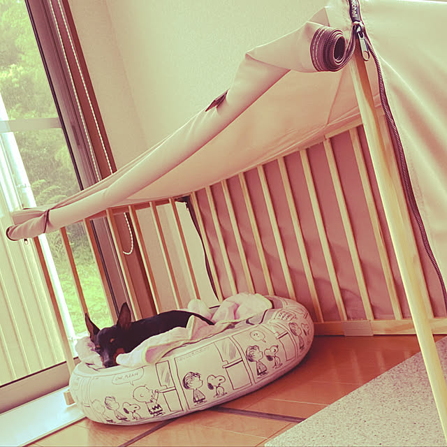 flower8823さんの実例写真