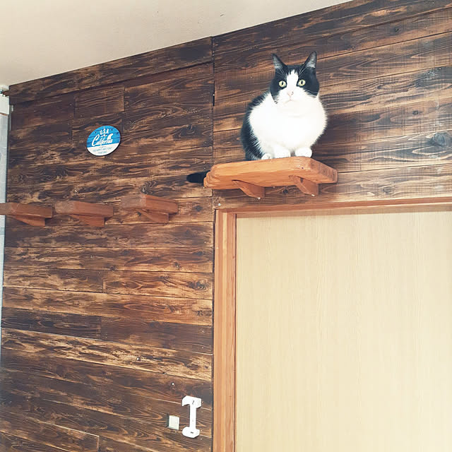 kazumiさんの実例写真