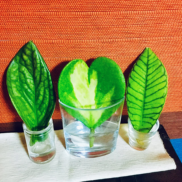 kasumiさんの実例写真