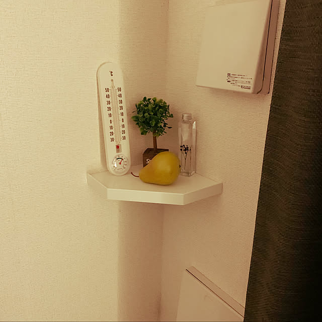 Kenjiさんの実例写真