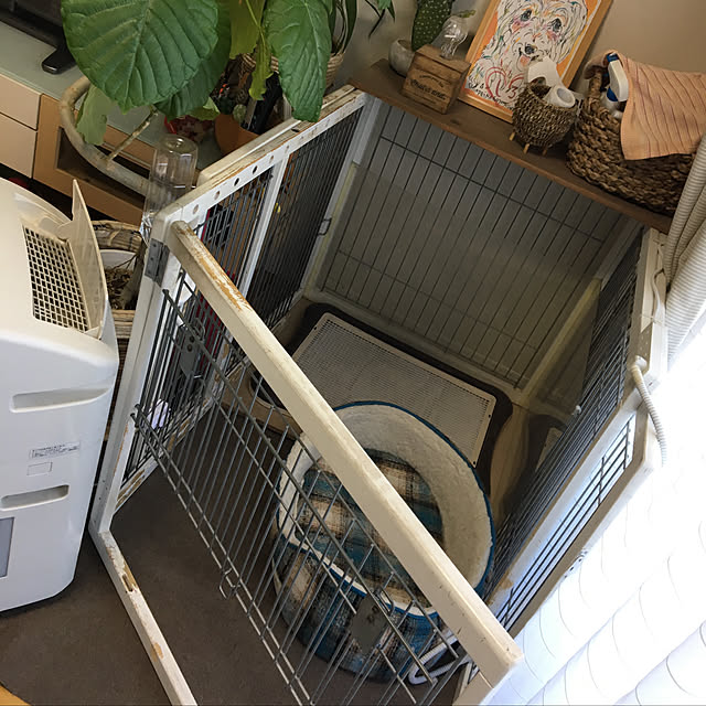 buuさんの実例写真