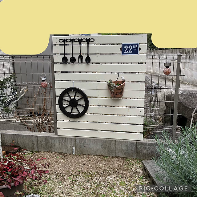 mimi.mocchiさんの実例写真