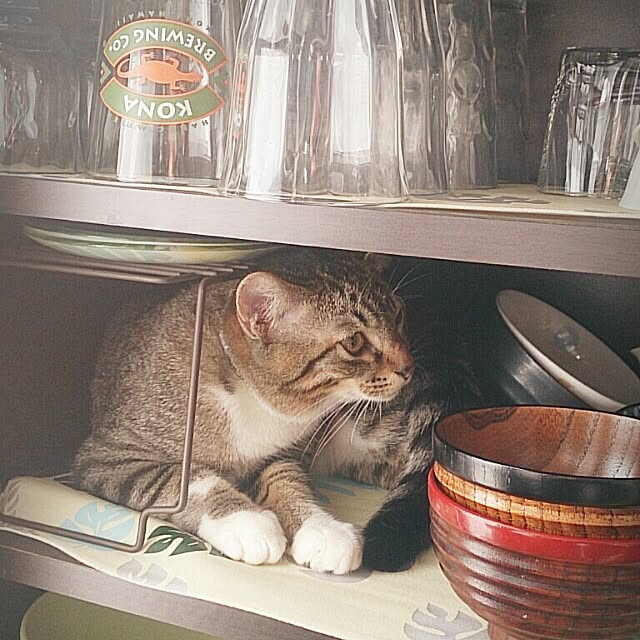 Lukiさんの実例写真