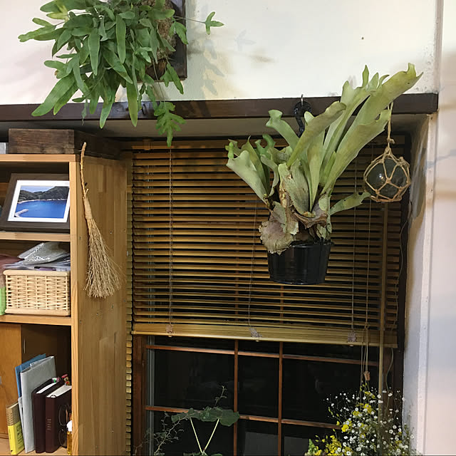 sato5さんの実例写真