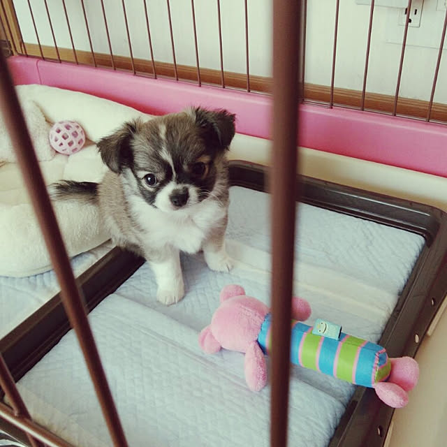 sweetさんの実例写真