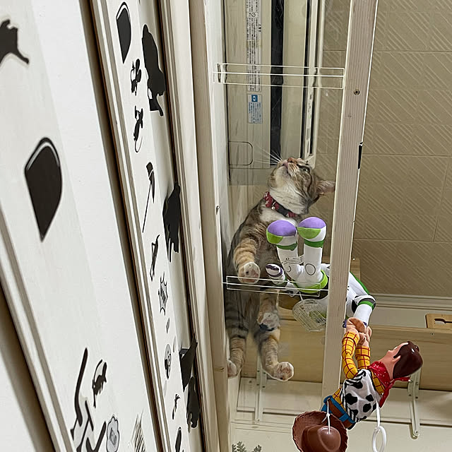 mikaさんの実例写真