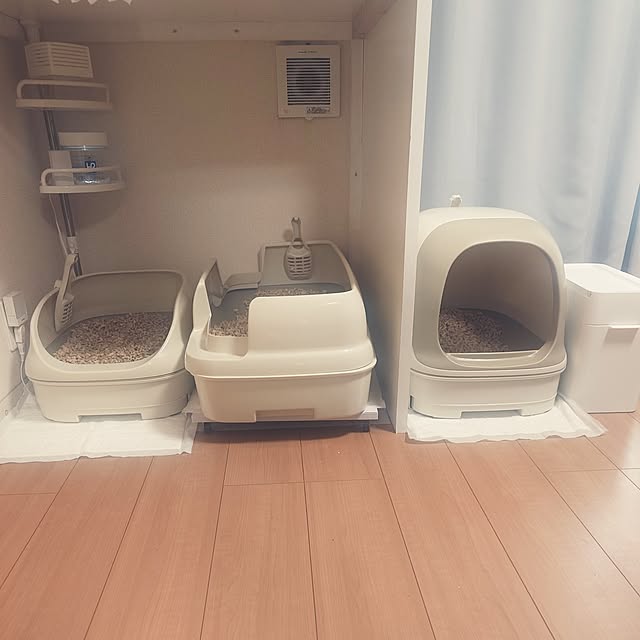 noguriさんの部屋