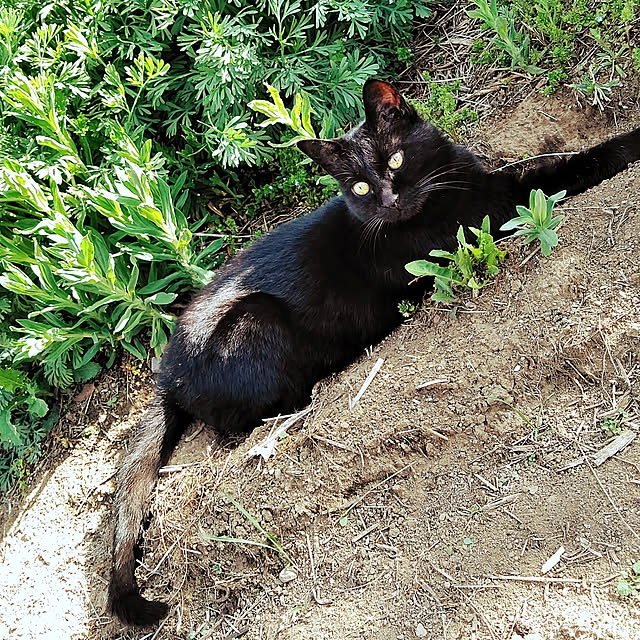 hiroさんの実例写真
