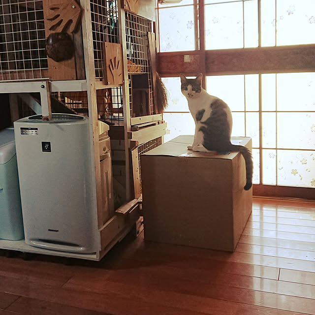 kikuさんの実例写真