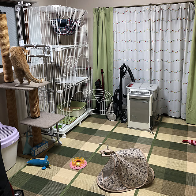 mitoraさんの実例写真