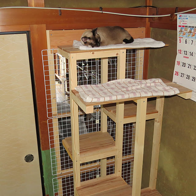 inakanodateotokoさんの実例写真