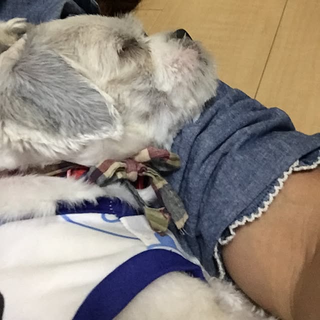 emiさんの実例写真