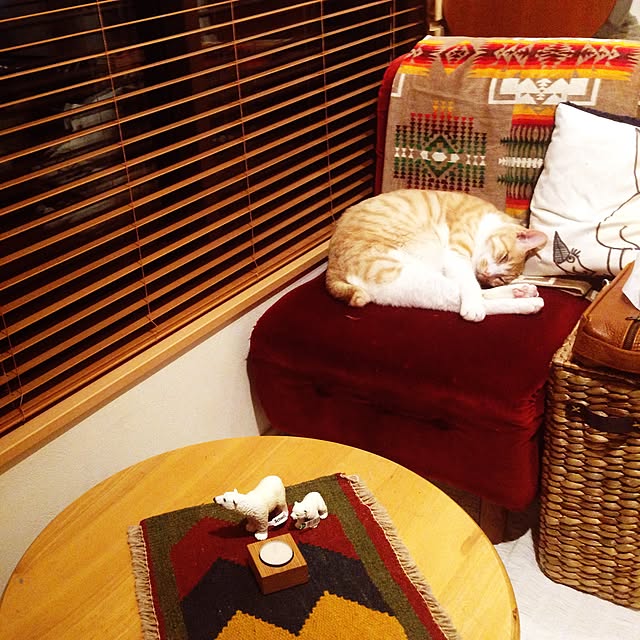 NPGHさんの実例写真