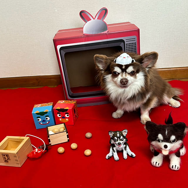 chIoeさんの実例写真
