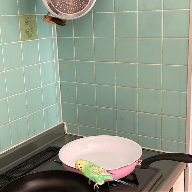 toratanさんの実例写真