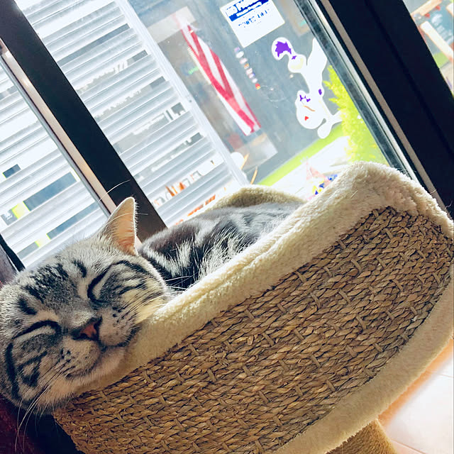 r.t.mamaさんの実例写真